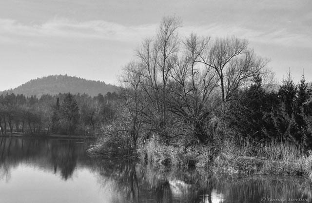 koseški bajer; fotografija #10