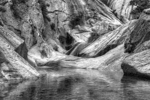 tolmun; fotografija #13