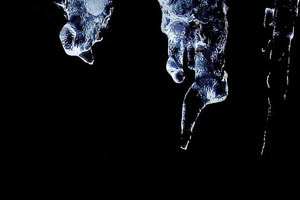 led; fotografija narava #09