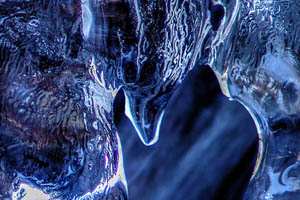 led; fotografija narava #07