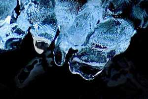 led; fotografija narava #12