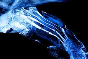 led; fotografija narava #05