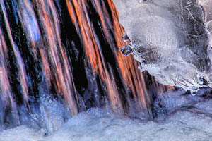 led; fotografija narava #17