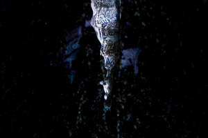 led; fotografija narava #10