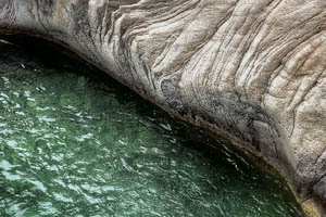 tolmun; fotografija narava #40