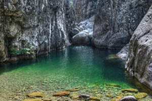 tolmun; fotografija narava #37