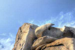 fotografija narava #53